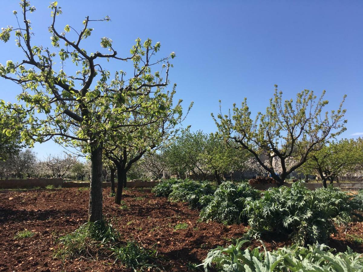 הוילה מונופולי Terrazza Sui Colli מראה חיצוני תמונה